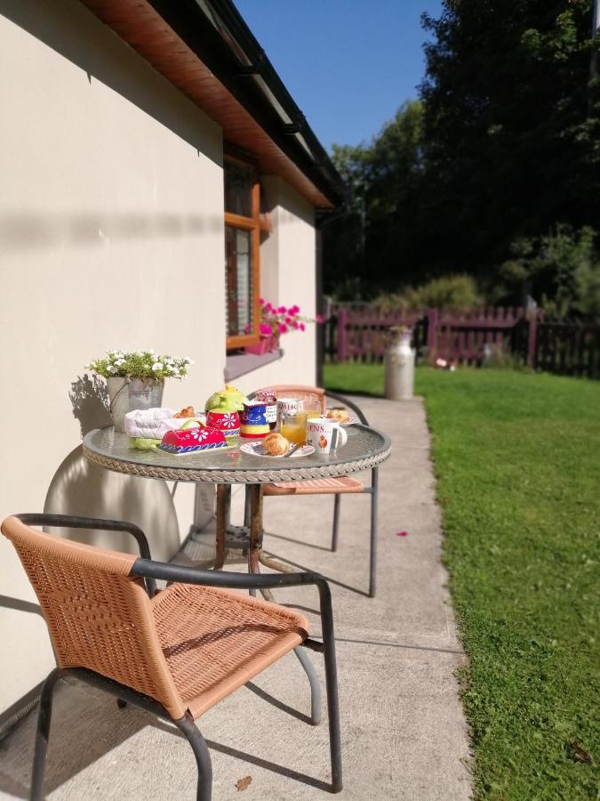 Killarney Saoirse Cottage المظهر الخارجي الصورة