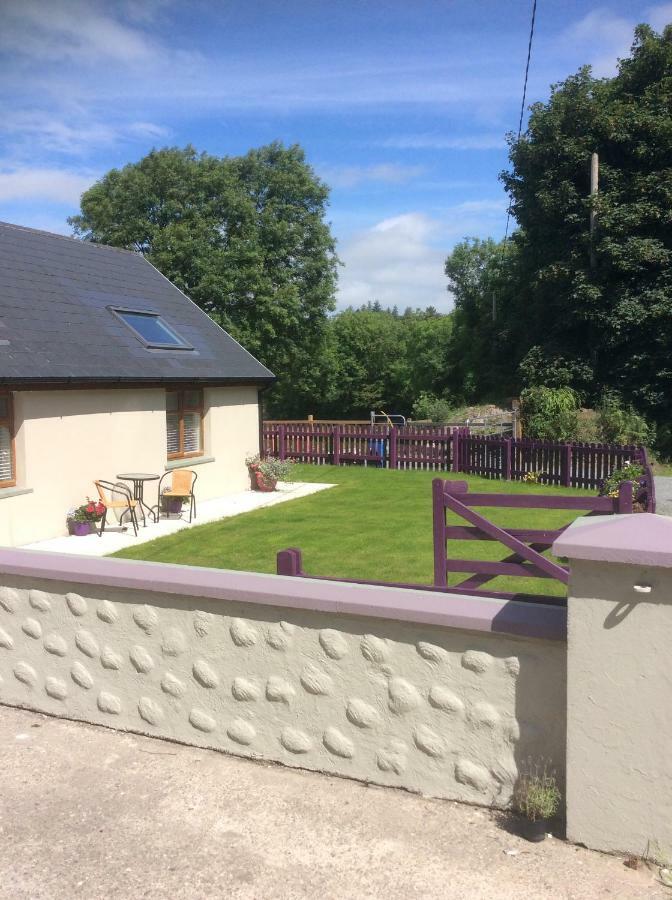 Killarney Saoirse Cottage المظهر الخارجي الصورة