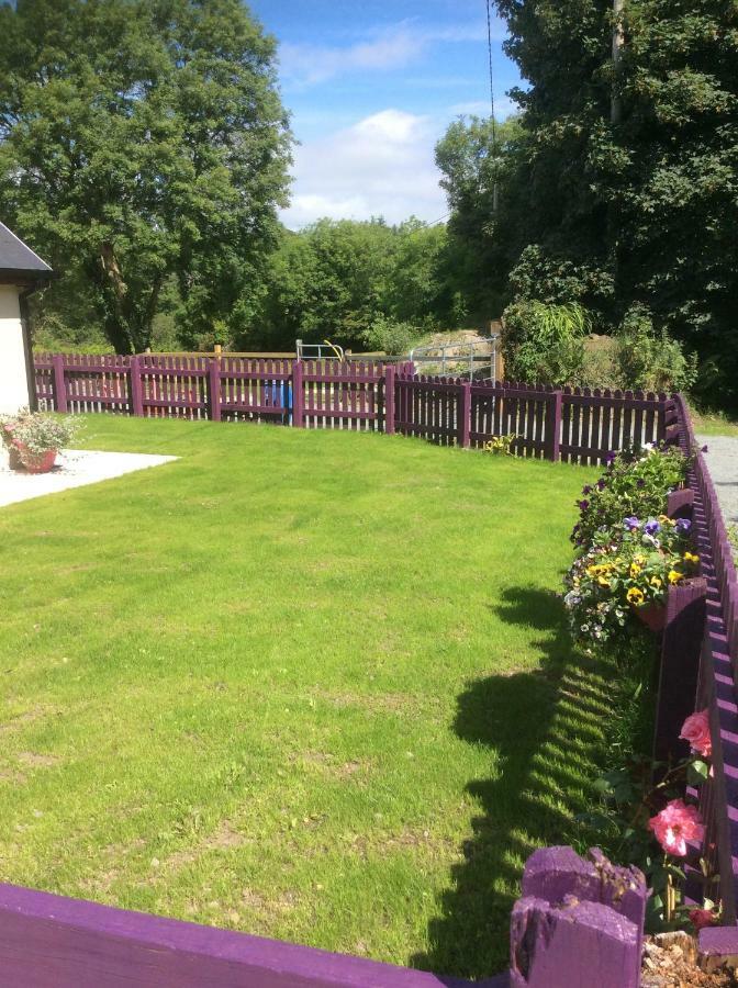 Killarney Saoirse Cottage المظهر الخارجي الصورة
