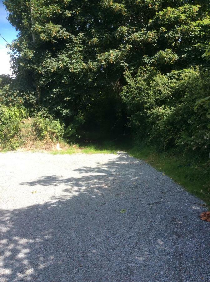 Killarney Saoirse Cottage المظهر الخارجي الصورة